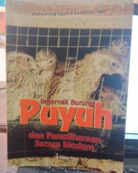 Image of Berternak Burung Puyuh