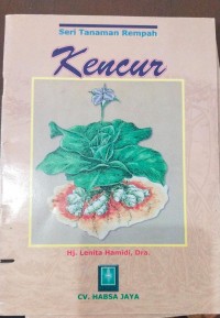 Image of Kencur